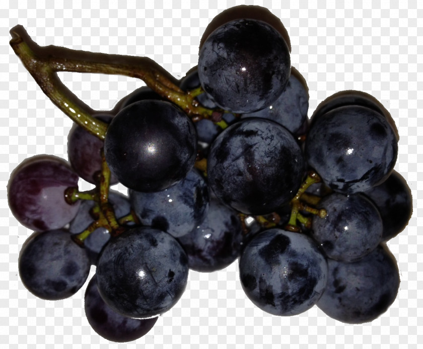 Grape Zante Currant Grapevines Seedless Fruit Blueberry PNG