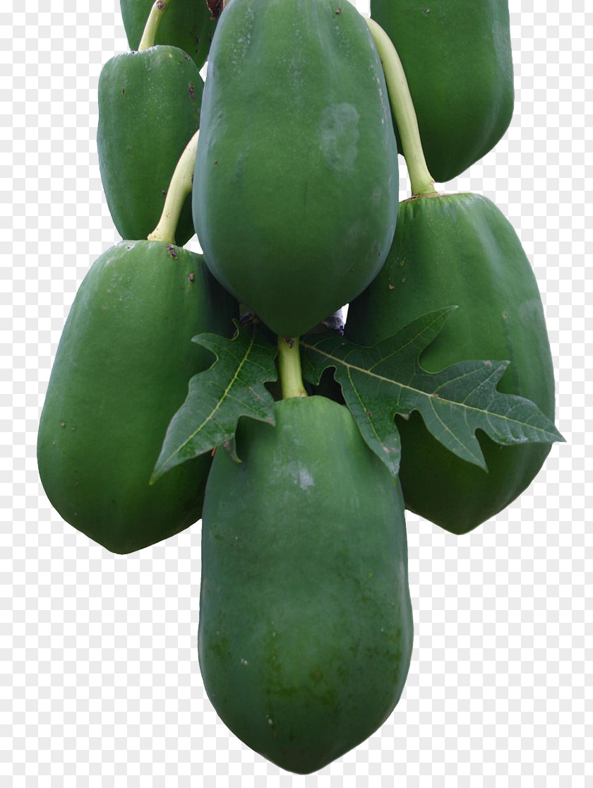 Green Papaya Fruit Auglis Vegetable PNG