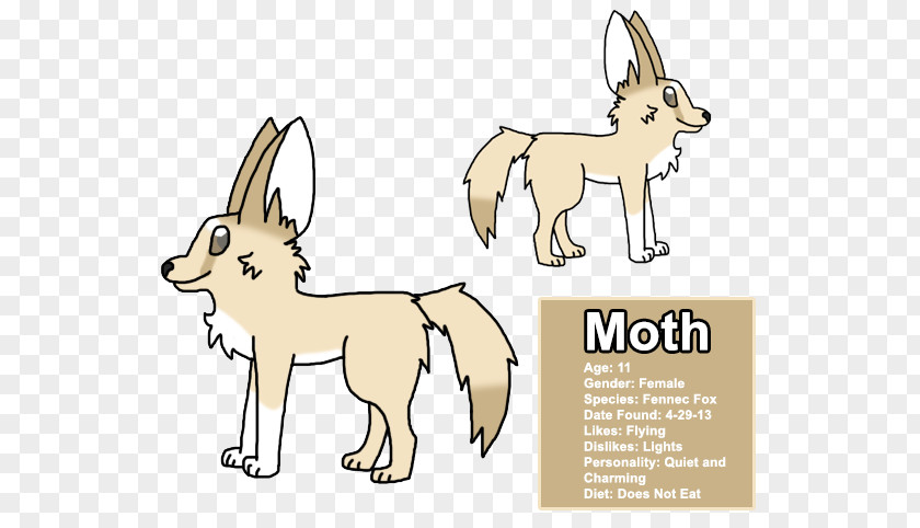 Moth Drawing Dog Breed Line Art Red Fox Clip PNG