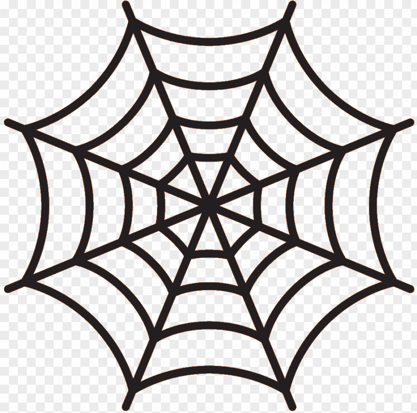 Spider Web Vector Graphics Illustration PNG