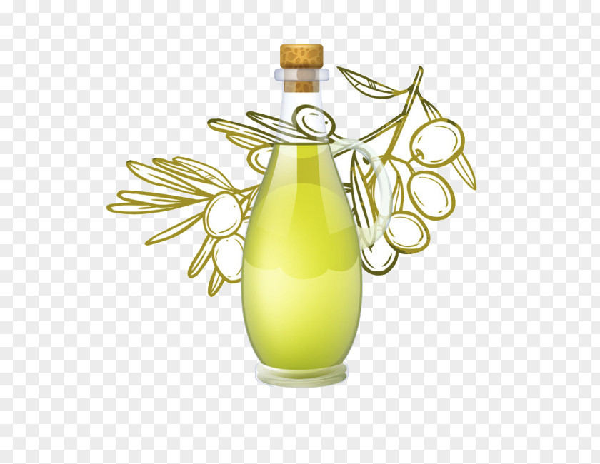 Olive Oil Vector Material Juice Drawing Illustration PNG