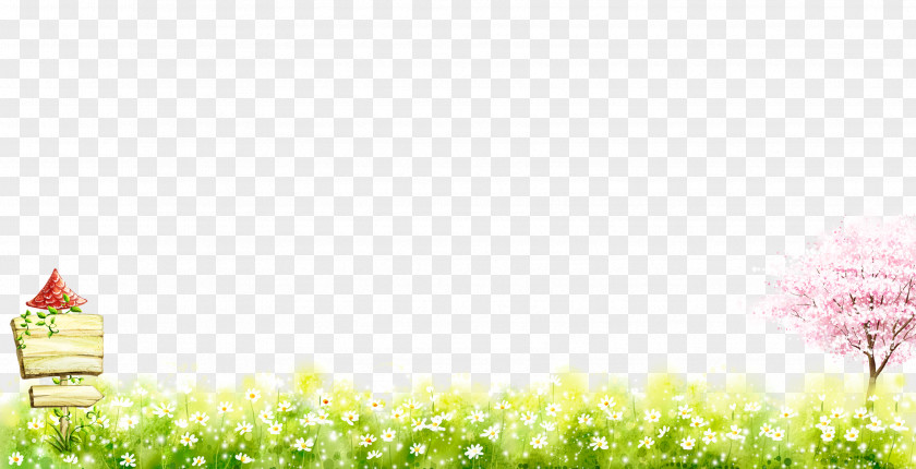 Spring Grass Download Nature Wallpaper PNG