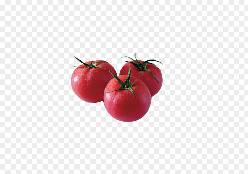 Tomato Vegetarian Cuisine BLT Vegetable PNG