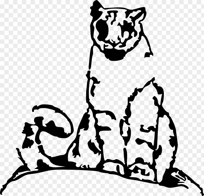 Cat Whiskers Leopard Felidae Clip Art PNG