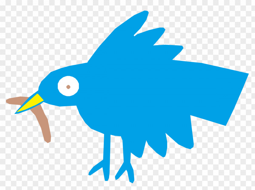 Kiwi Bird Cartoon Feather Color Clip Art PNG