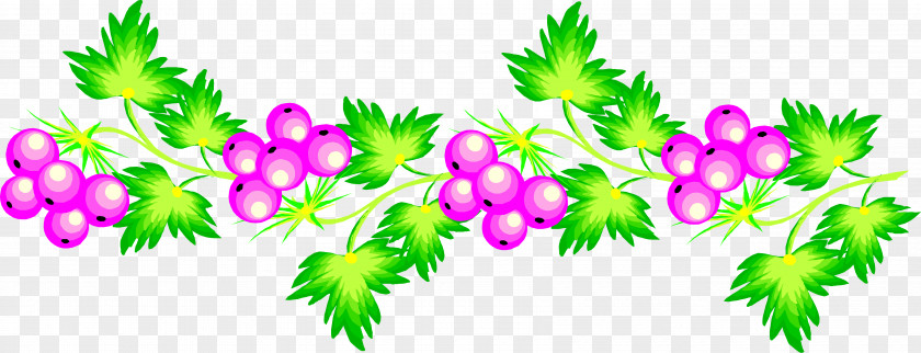 Various Flowers Blog Information Clip Art PNG