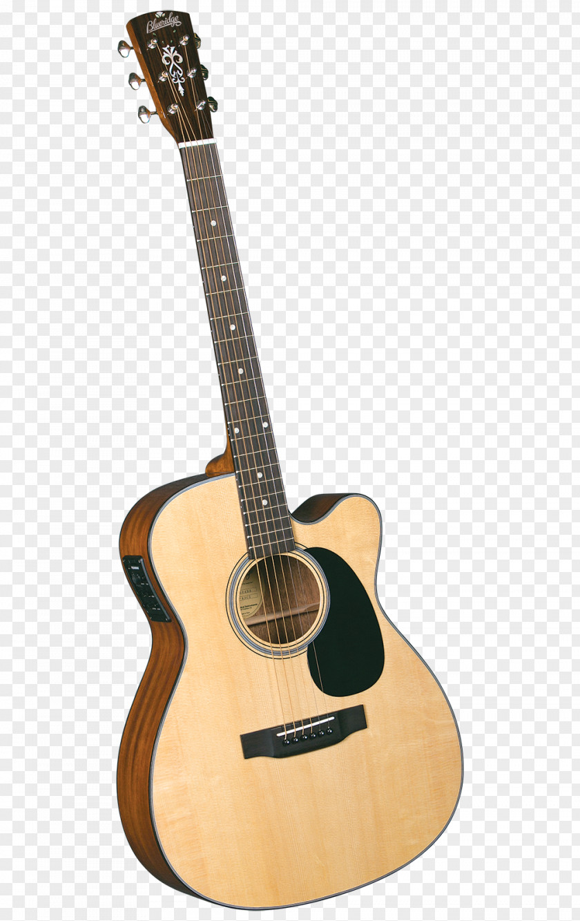 Electric Guitar Steel-string Acoustic Acoustic-electric Musical Instruments PNG