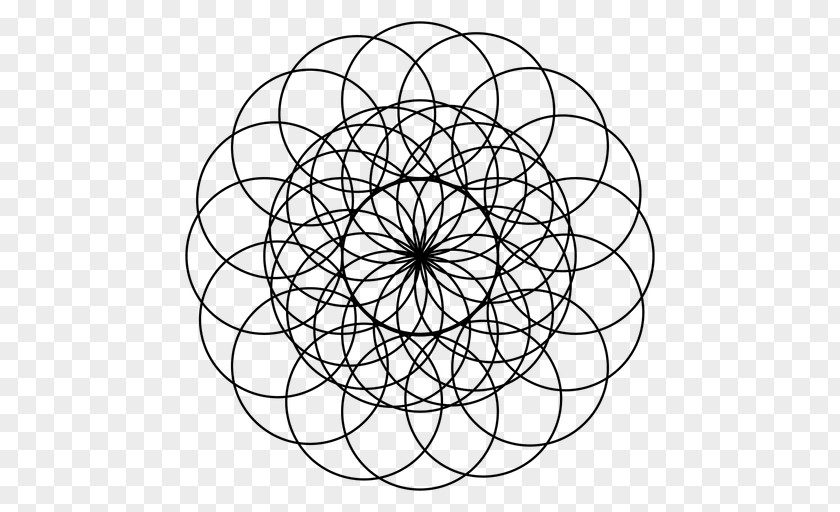 Geomatric Sacred Geometry Torus Circle PNG