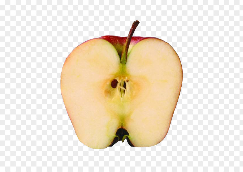 Half Apples Apple Download PNG