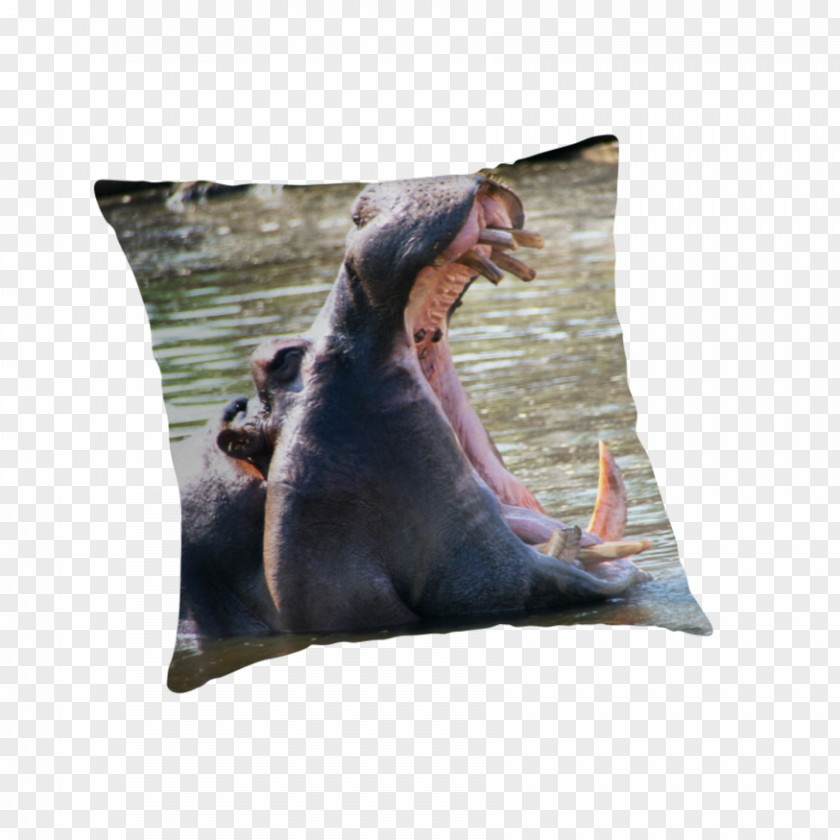 Pillow Throw Pillows Cushion Snout PNG