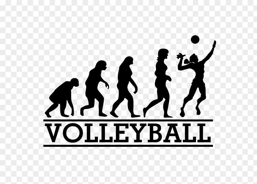 Play Volleyball March Of Progress Human Evolution Running Selective Breeding PNG