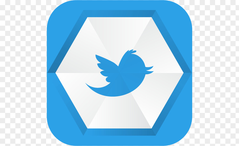 Social Media Bird United States Logo PNG