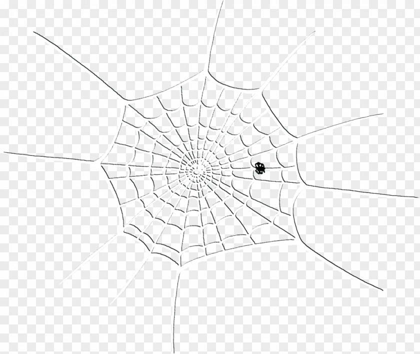 Spider Web Material /m/02csf Line Art Drawing Leaf PNG