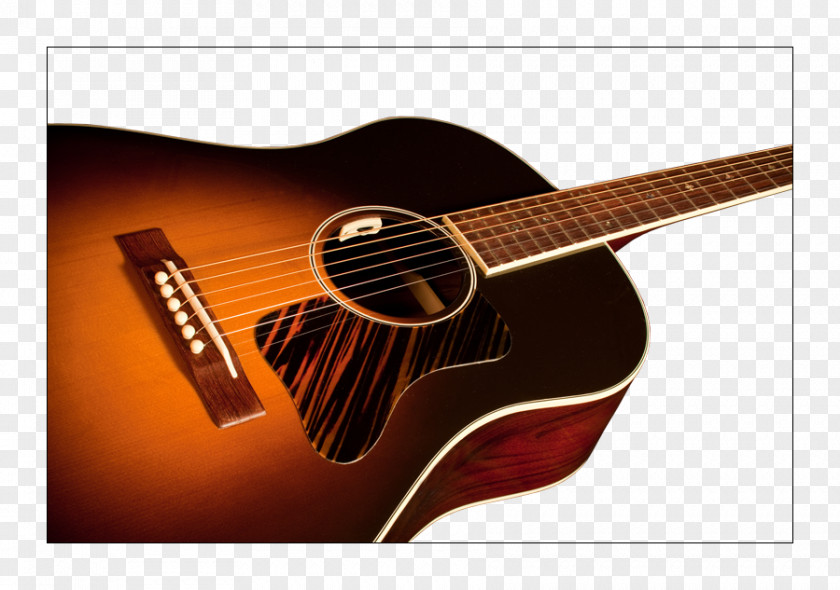 Acoustic Guitar Microphone Electric Tiple Bass PNG