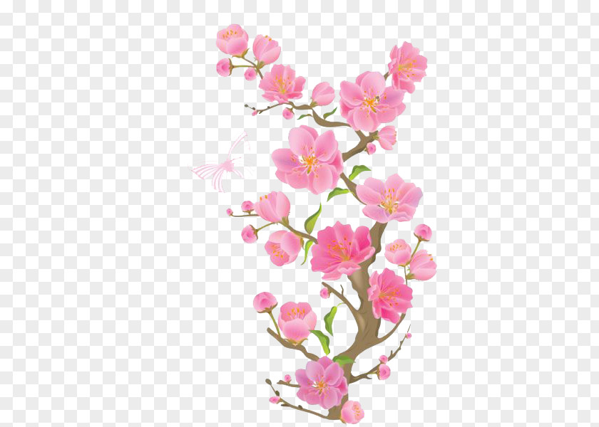 Pink Peach Cherry Blossom Clip Art PNG