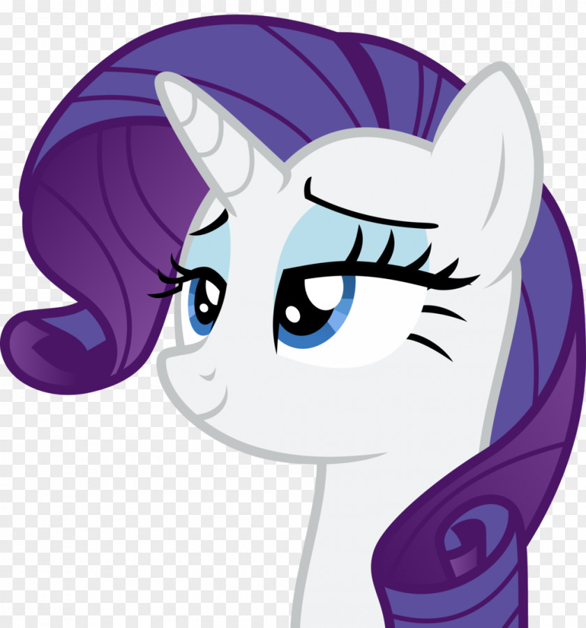 Rarity Face Pony Whiskers Rainbow Dash PNG