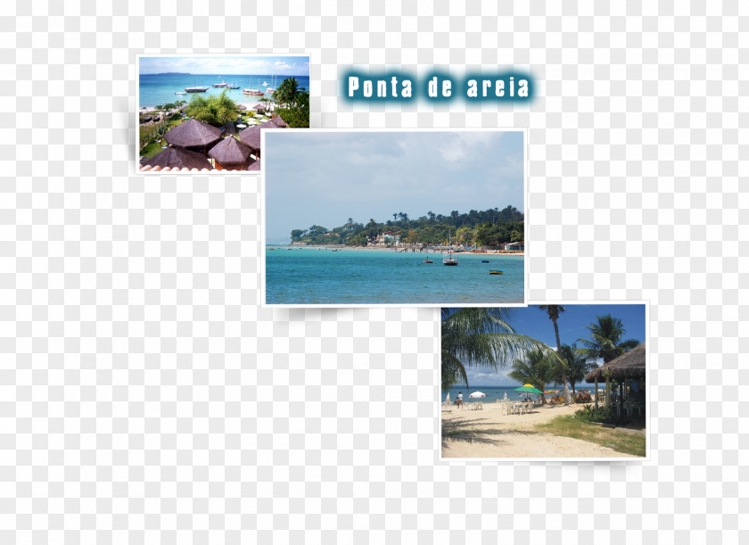 Vacation Itaparica Property Water Resources Ecosystem Advertising PNG