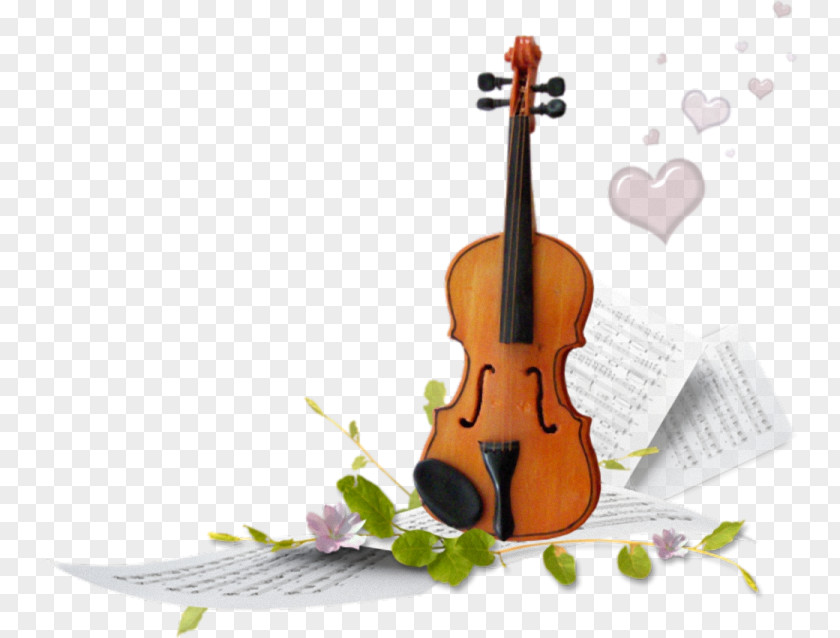 Violin Violone Musical Instruments PNG