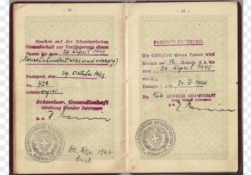 Visa Passport Diploma PNG