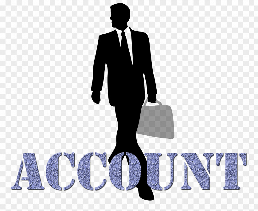 Accountant Accounting Certified Public Tax Preparation In The United States Chartered PNG