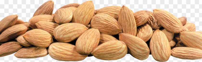 Almond Hazelnut Nucule PNG