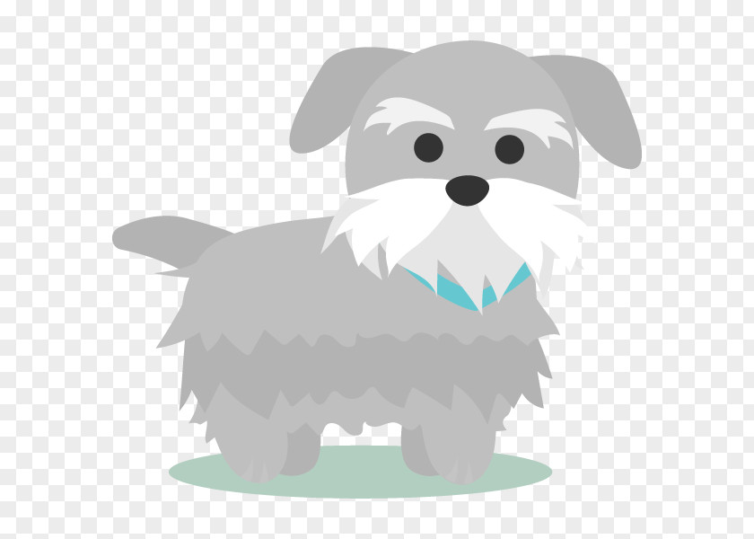 Bolognese Morkie Cat And Dog Cartoon PNG