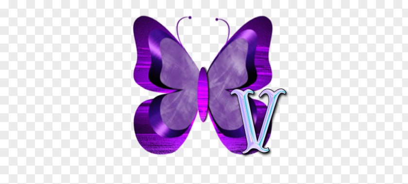 Butterfly Alphabet Letter Clip Art PNG