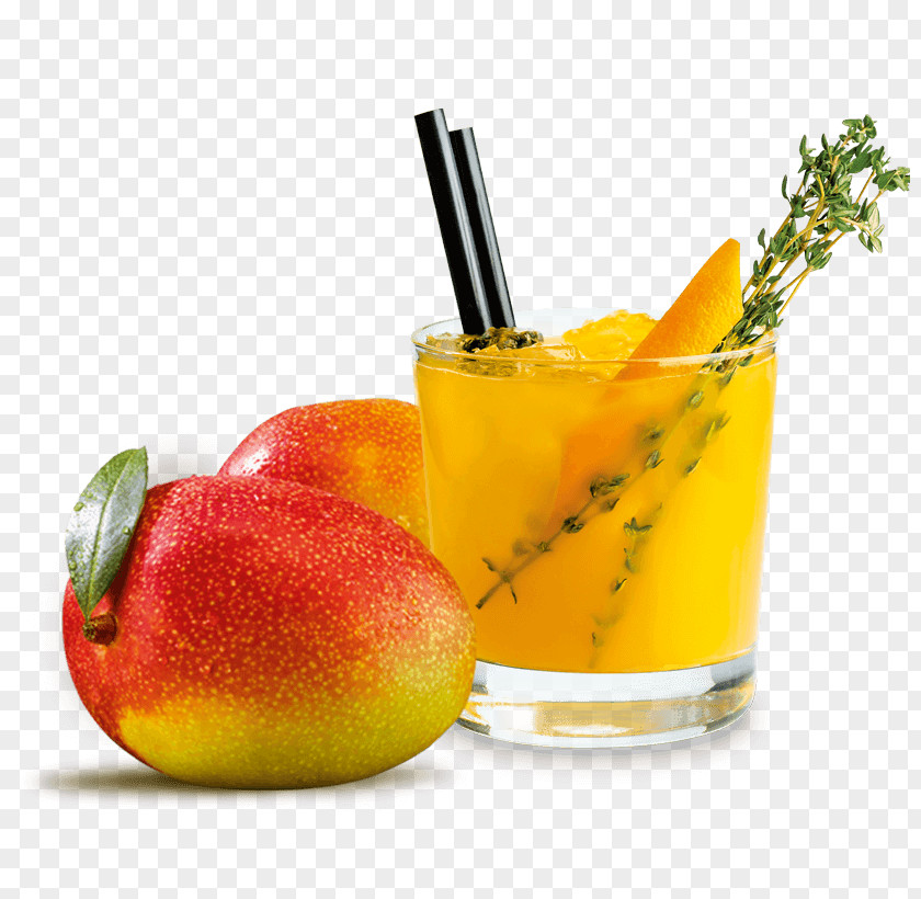 Cocktail Orange Drink Garnish Mai Tai Non-alcoholic PNG