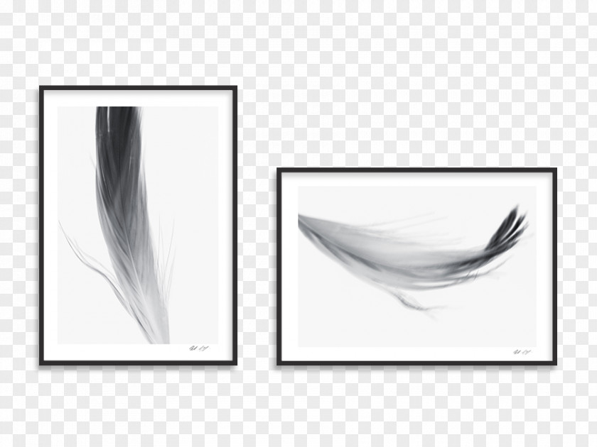 Feather Rectangle Product Design PNG