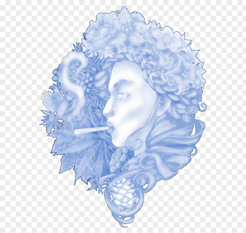 Nature Goddess Rose Family Illustration Flower PNG