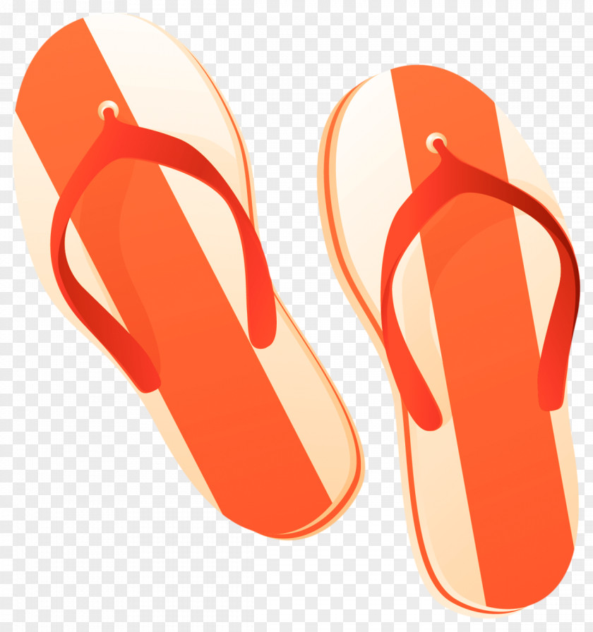 Sandal Flip-flops Slipper Shoe PNG