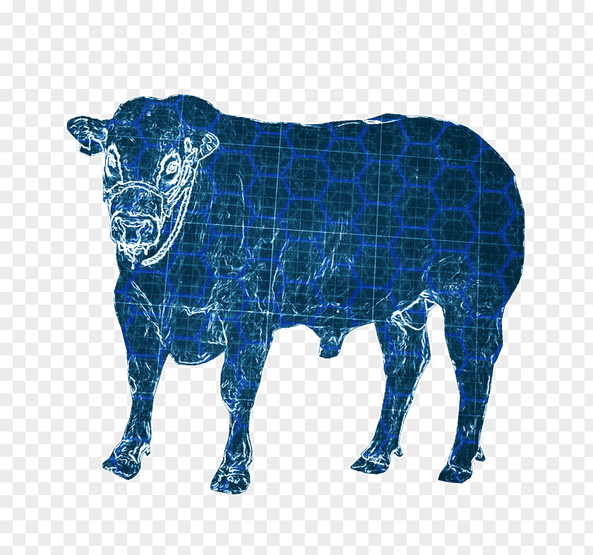 Silueta Toro Dairy Cattle Taurine Ox La Garita, Jalisco Spanish Fighting Bull PNG