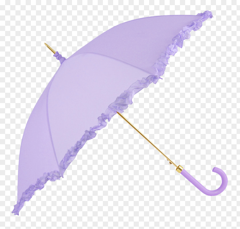 Umbrella Photography Clip Art PNG