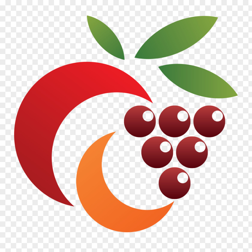 B2B Logo Fruit Clip Art PNG