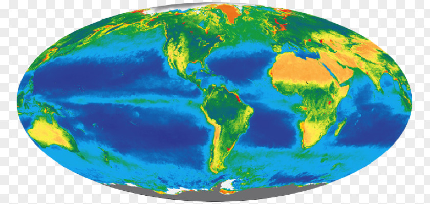 Biological World Earth Organism Photosynthesis Biosphere Ecology PNG