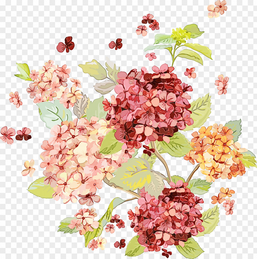 Bouquet Cherry Blossom Of Flowers Drawing PNG