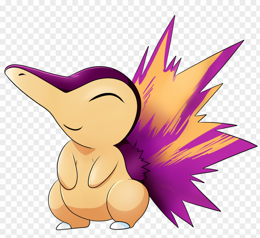 Cyndaquil Typhlosion Quilava Chikorita Drawing PNG