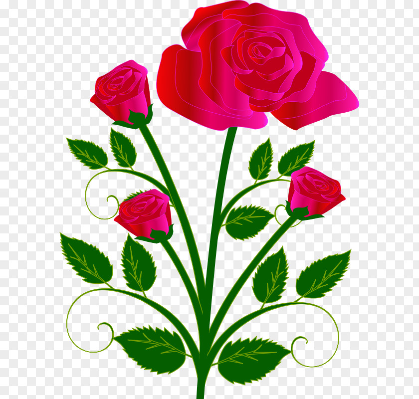 Pictures Of Bouquet Flower Garden Roses Clip Art PNG
