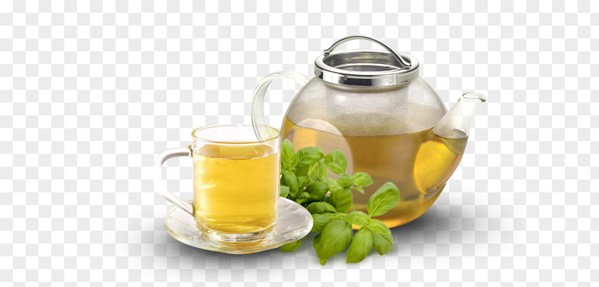 Tea Coffee Infusion Basil Fizzy Drinks PNG