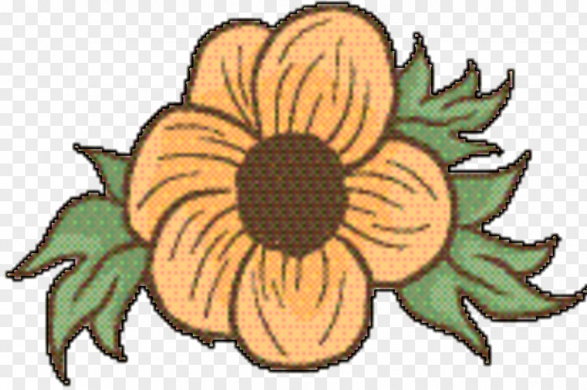 Wildflower Daisy Family Marigold Flower PNG