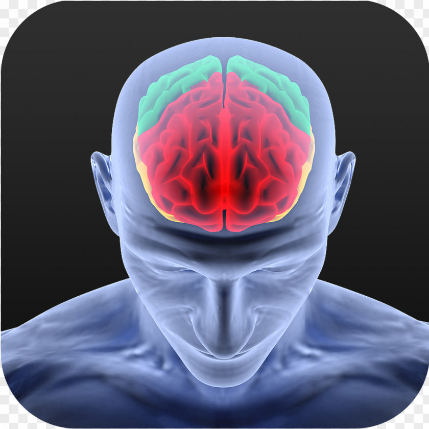 Brain Human Neuroscience Neuron Neuroscientist PNG
