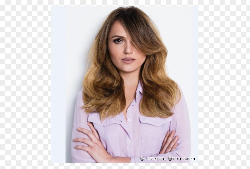 Hair Monica Iozzi Long Blond Brown PNG