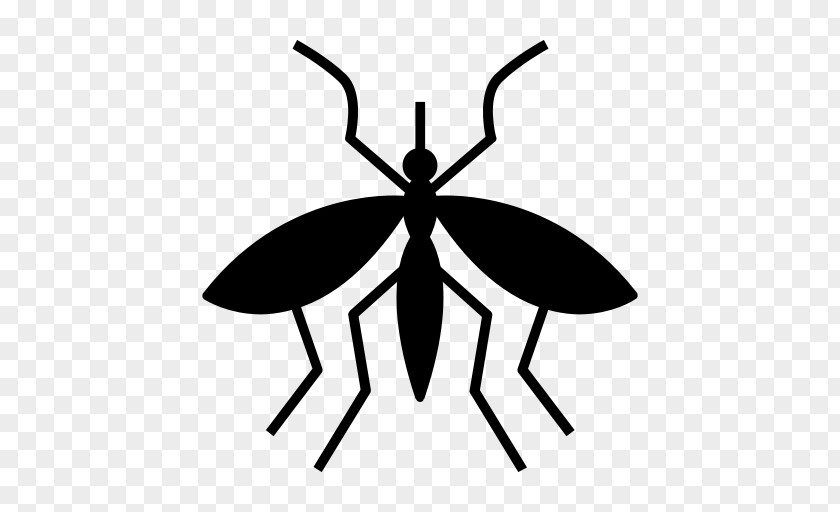 Mosquito Malaria Fly Vector Clip Art PNG