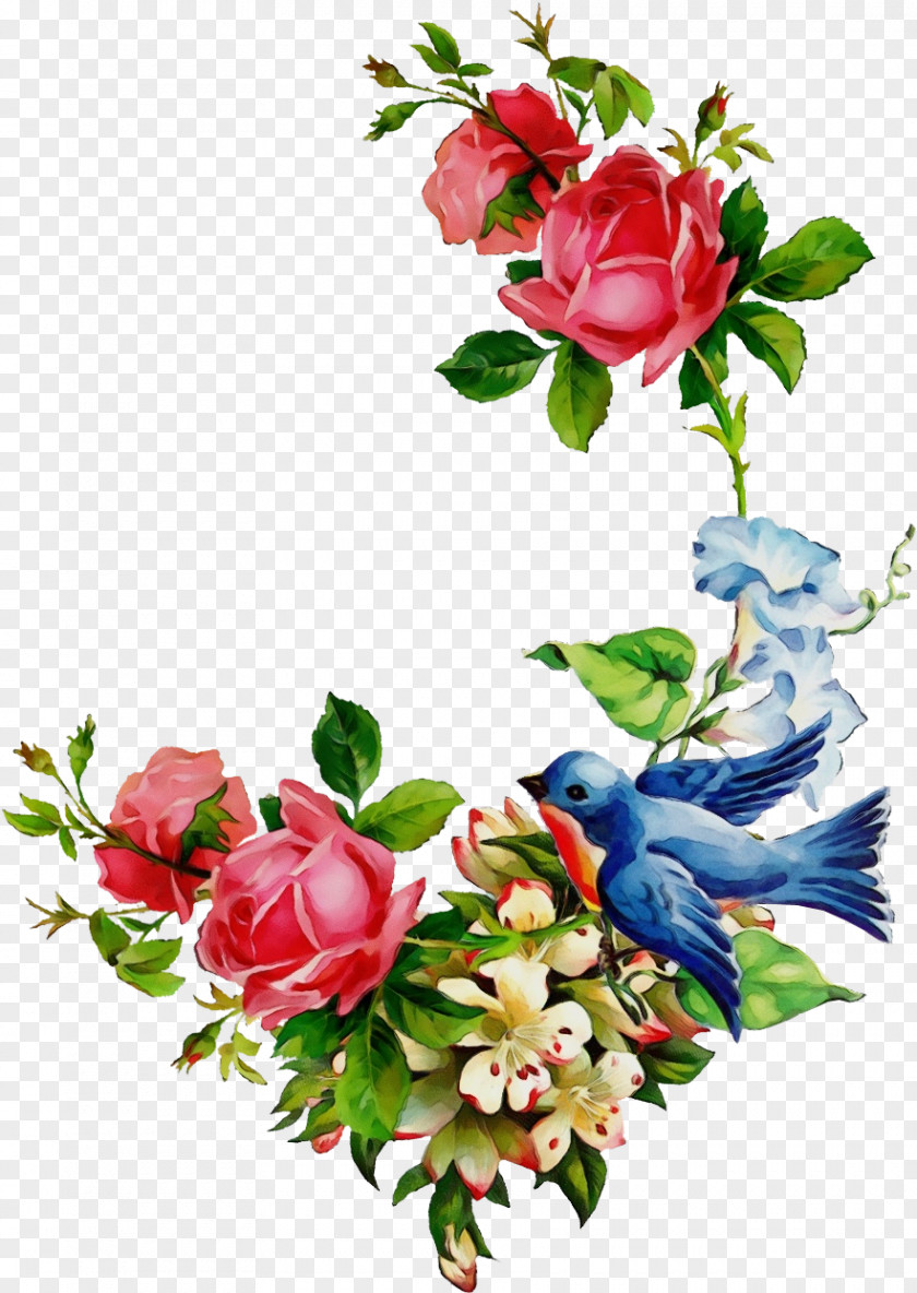 Petal Rose Family Garden Roses PNG