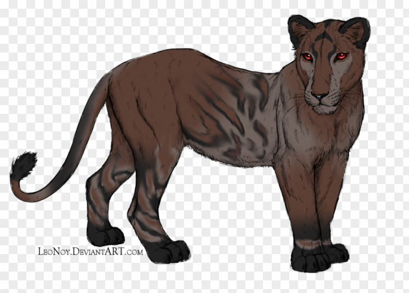 Roe-deer Lion Big Cat Terrestrial Animal Puma PNG