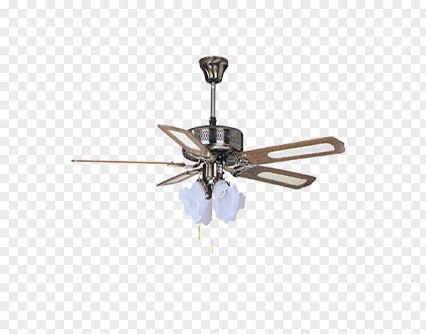 Table Ceiling Fans Grupo Janna PNG