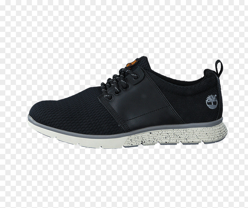 Adidas Sports Shoes Footwear PNG