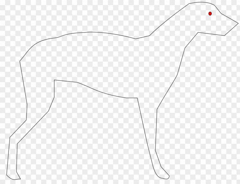 Carp Whippet Italian Greyhound Dog Breed Clip Art PNG
