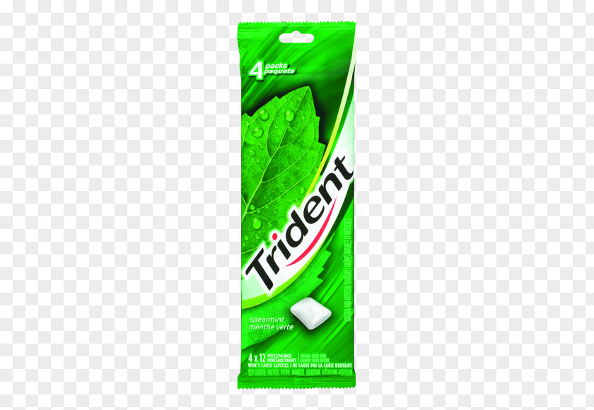 Chewing Gum Trident Peppermint Mentha Spicata Gummi Candy PNG