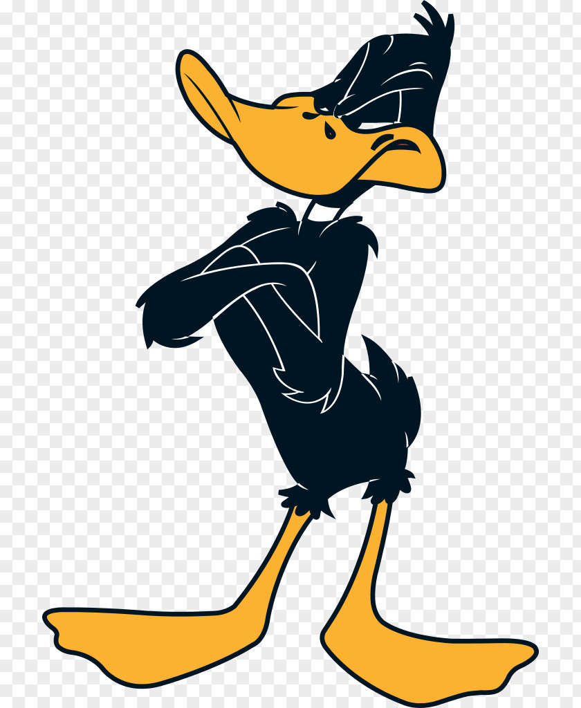 Donald Duck Daffy Bugs Bunny Looney Tunes Cartoon PNG